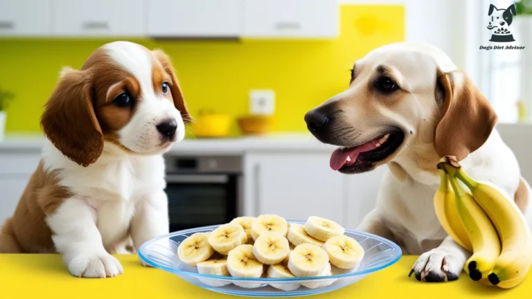 A dog and puppy waiting to eat banana