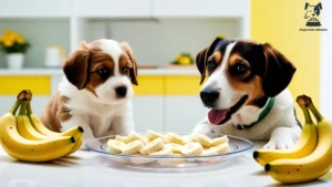 a dogs and puppy looking at banana