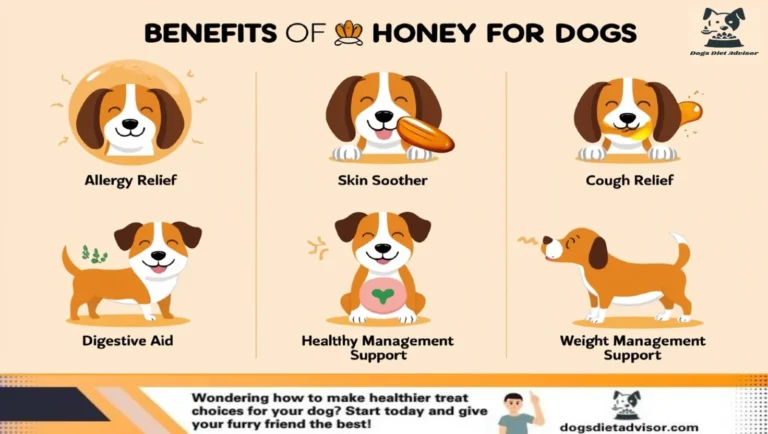 Benefits of Honey for dogs infographic.