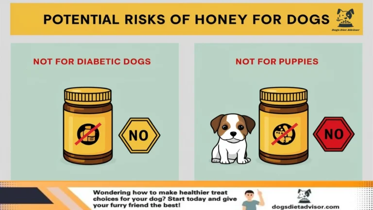 A infographic contain risk of the feed honey to dog